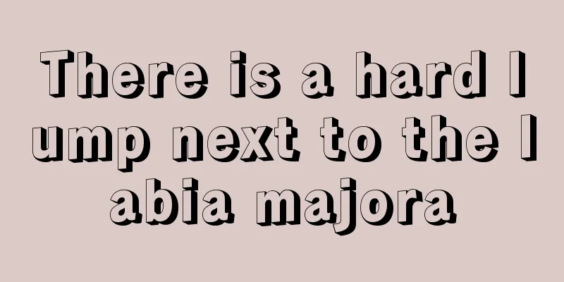 There is a hard lump next to the labia majora