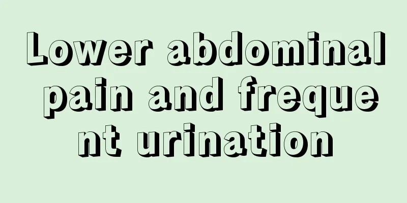 Lower abdominal pain and frequent urination