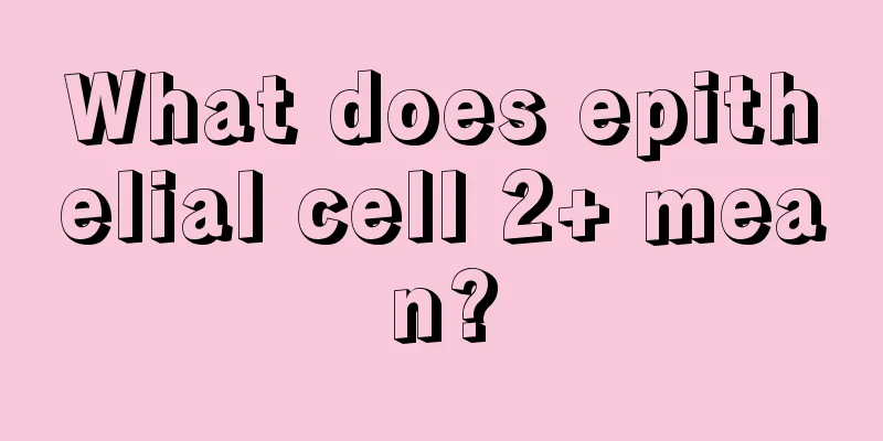 What does epithelial cell 2+ mean?