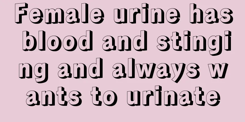 Female urine has blood and stinging and always wants to urinate