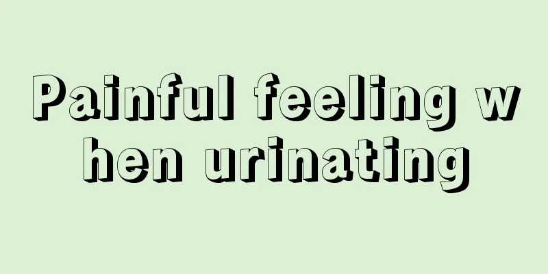 Painful feeling when urinating