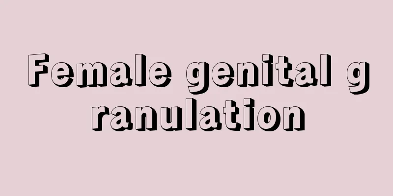 Female genital granulation