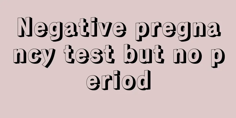 Negative pregnancy test but no period