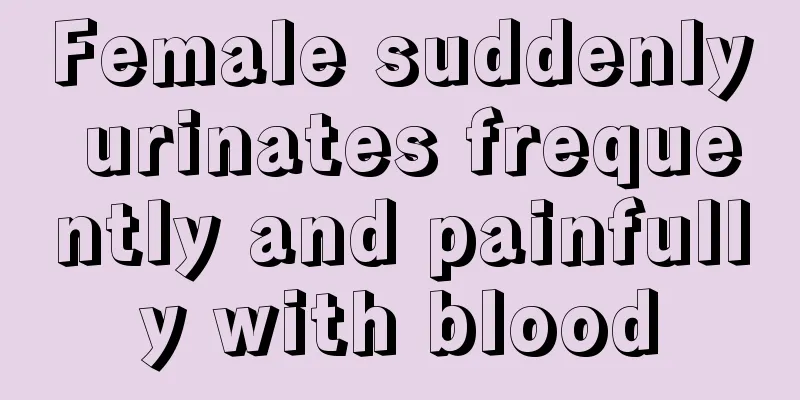 Female suddenly urinates frequently and painfully with blood