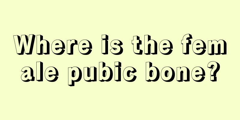 Where is the female pubic bone?