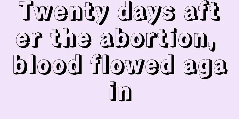 Twenty days after the abortion, blood flowed again