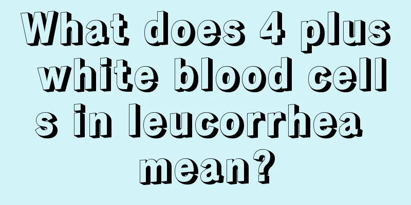 What does 4 plus white blood cells in leucorrhea mean?