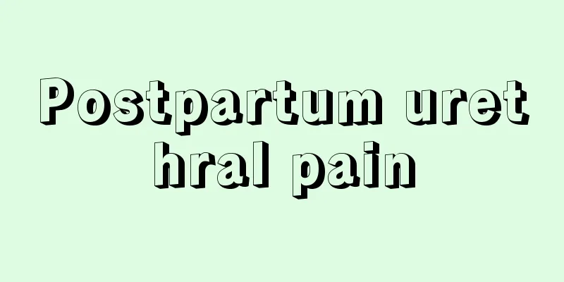 Postpartum urethral pain