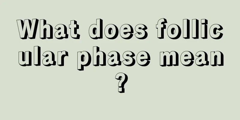 What does follicular phase mean?