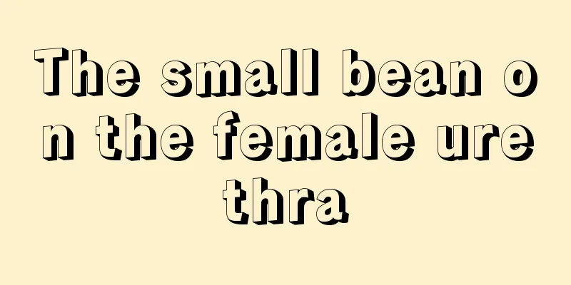 The small bean on the female urethra