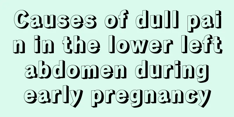 Causes of dull pain in the lower left abdomen during early pregnancy