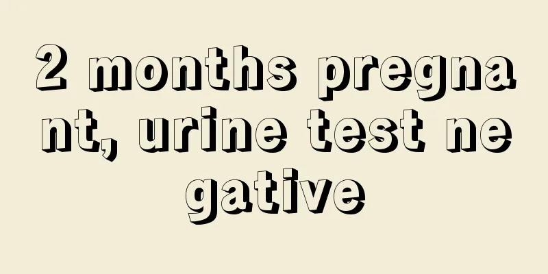 2 months pregnant, urine test negative