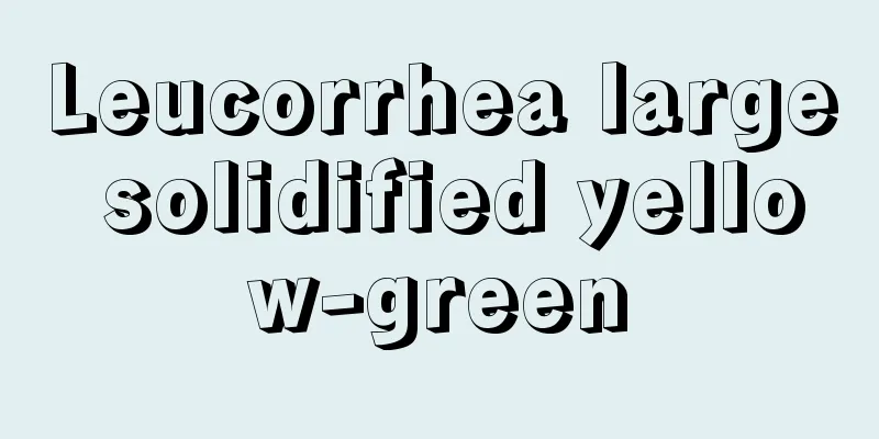 Leucorrhea large solidified yellow-green