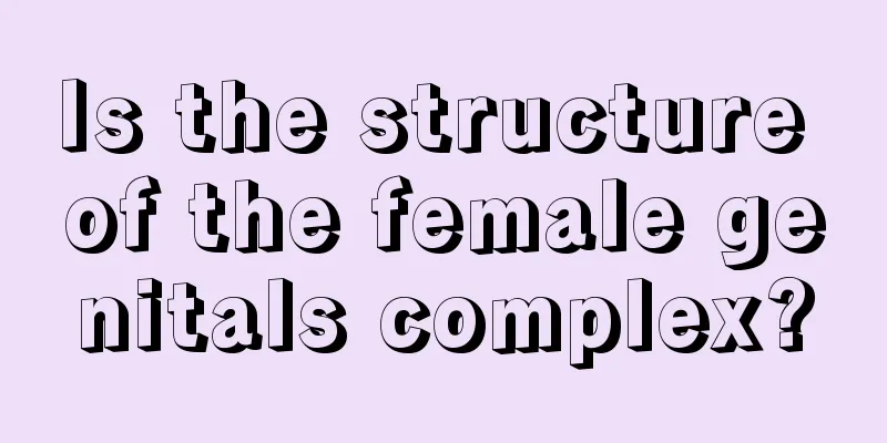 Is the structure of the female genitals complex?