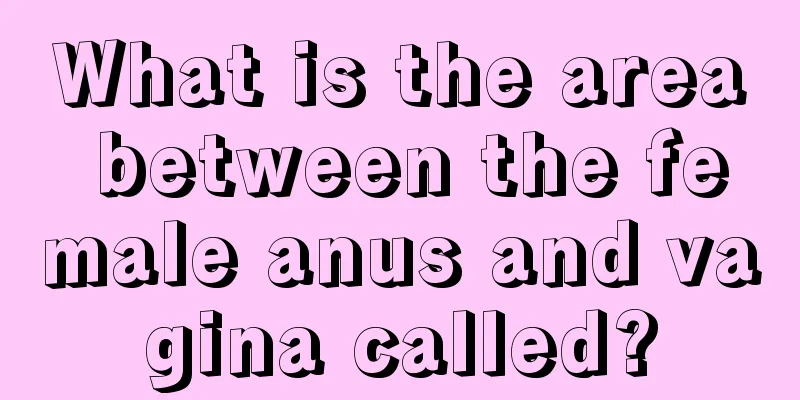 What is the area between the female anus and vagina called?