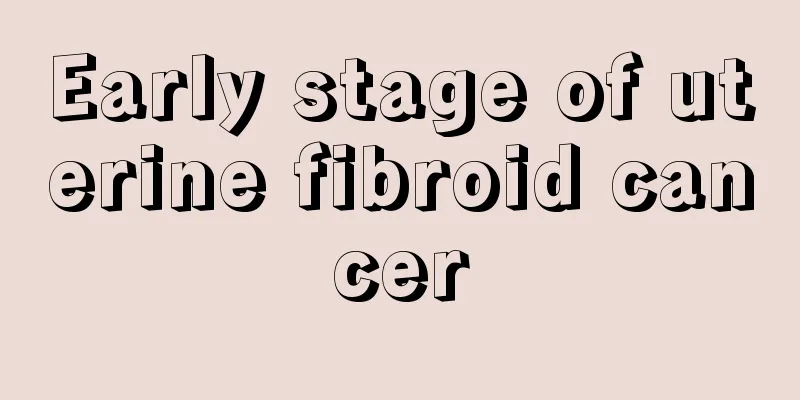 Early stage of uterine fibroid cancer