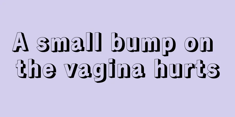 A small bump on the vagina hurts