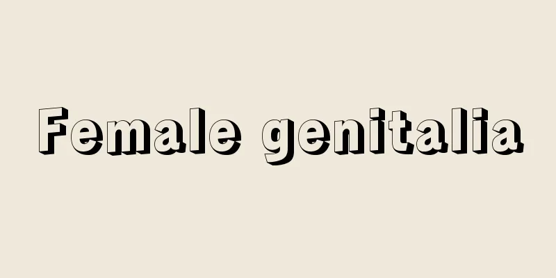 Female genitalia