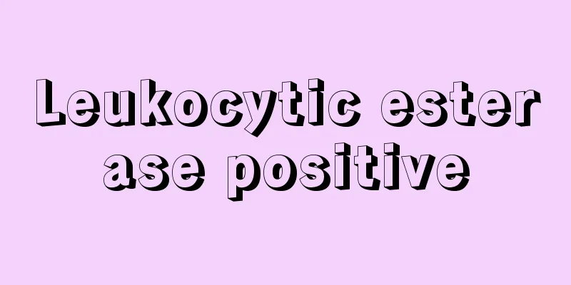 Leukocytic esterase positive