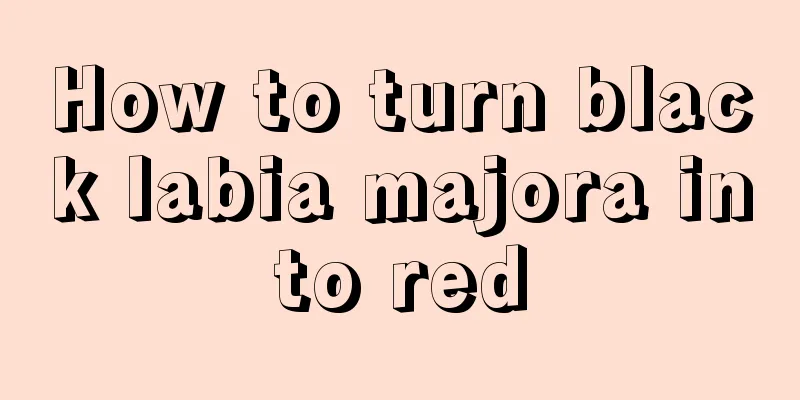 How to turn black labia majora into red