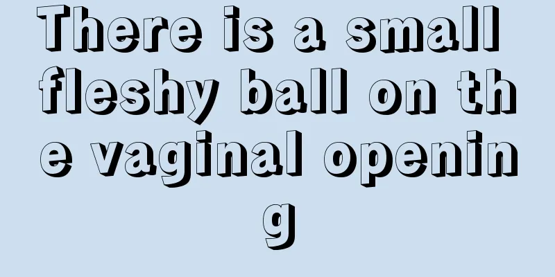 There is a small fleshy ball on the vaginal opening