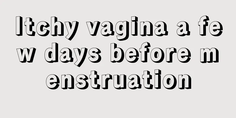 Itchy vagina a few days before menstruation