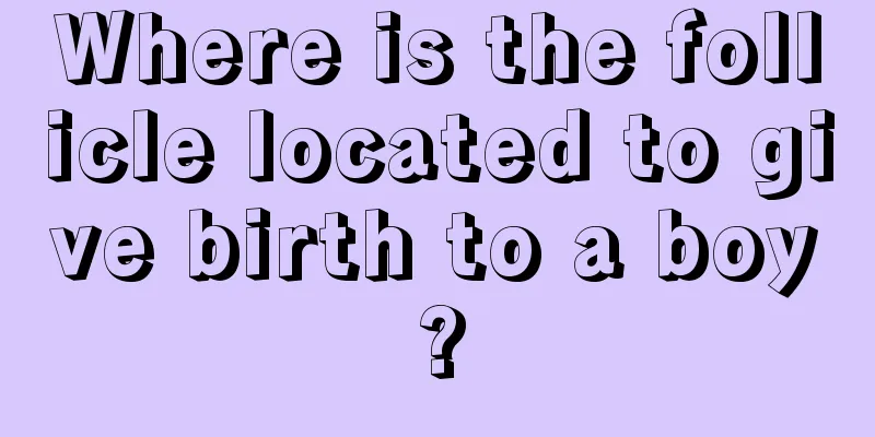 Where is the follicle located to give birth to a boy?