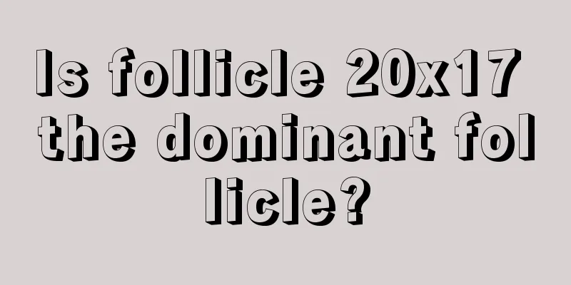 Is follicle 20x17 the dominant follicle?