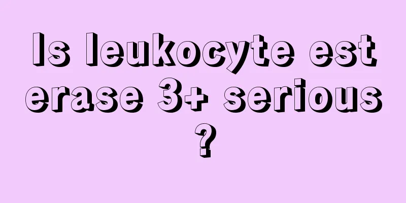 Is leukocyte esterase 3+ serious?