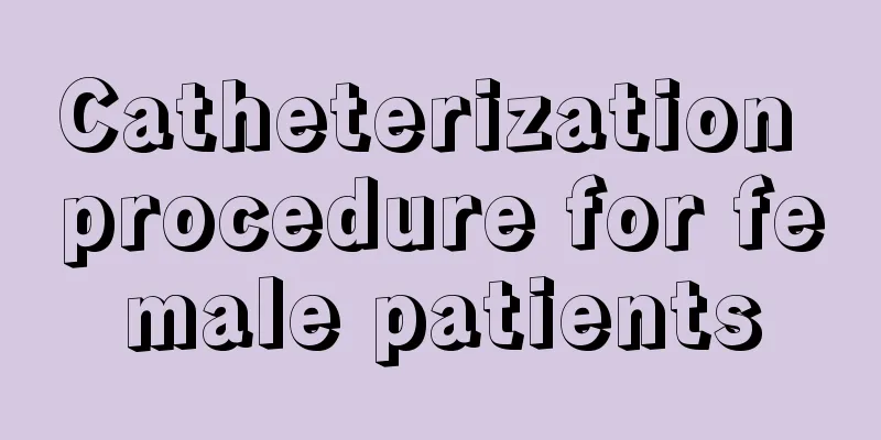 Catheterization procedure for female patients