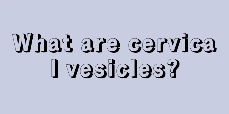 What are cervical vesicles?