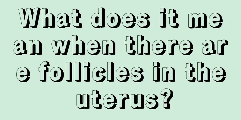 What does it mean when there are follicles in the uterus?