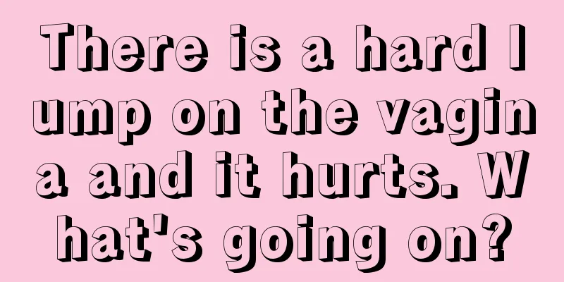 There is a hard lump on the vagina and it hurts. What's going on?