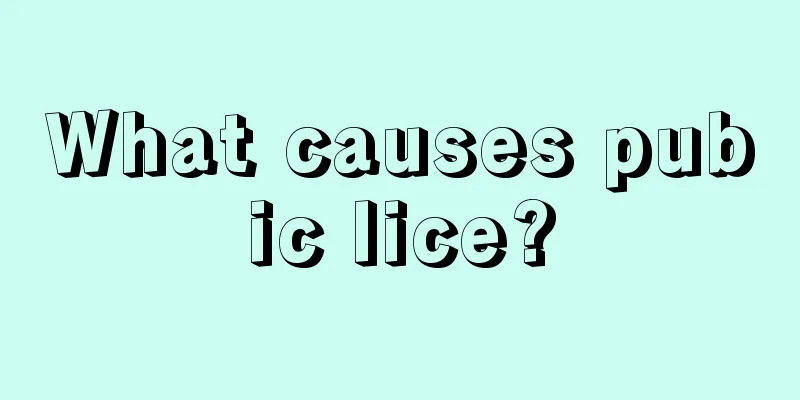 What causes pubic lice?