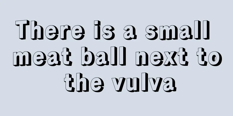 There is a small meat ball next to the vulva