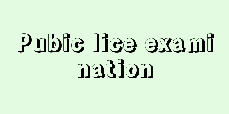 Pubic lice examination