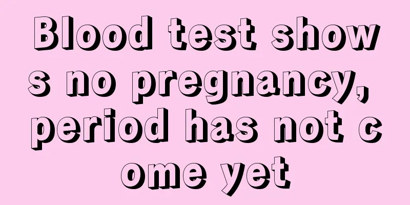 Blood test shows no pregnancy, period has not come yet