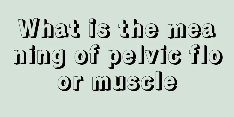 What is the meaning of pelvic floor muscle