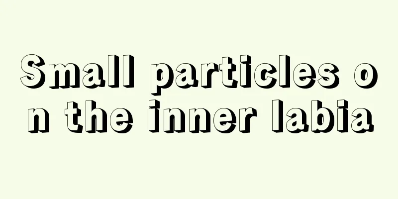 Small particles on the inner labia