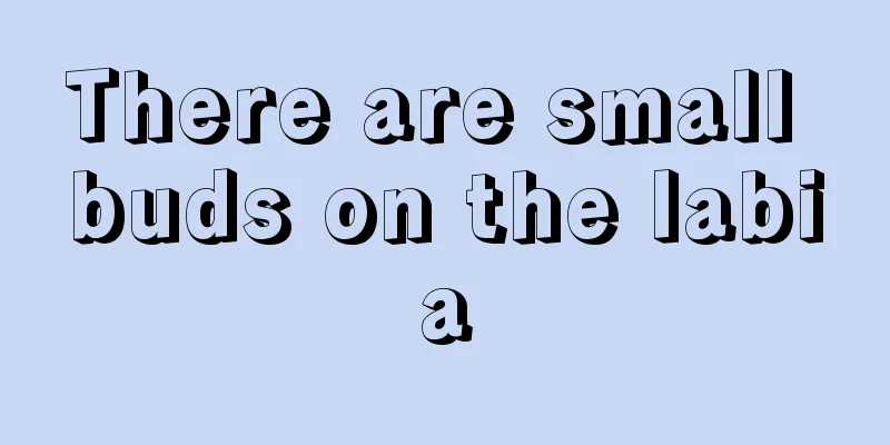 There are small buds on the labia