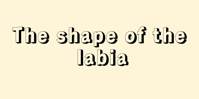 The shape of the labia