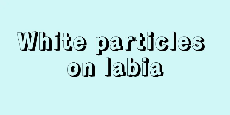 White particles on labia