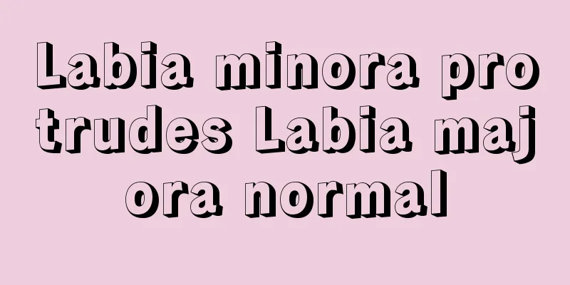 Labia minora protrudes Labia majora normal