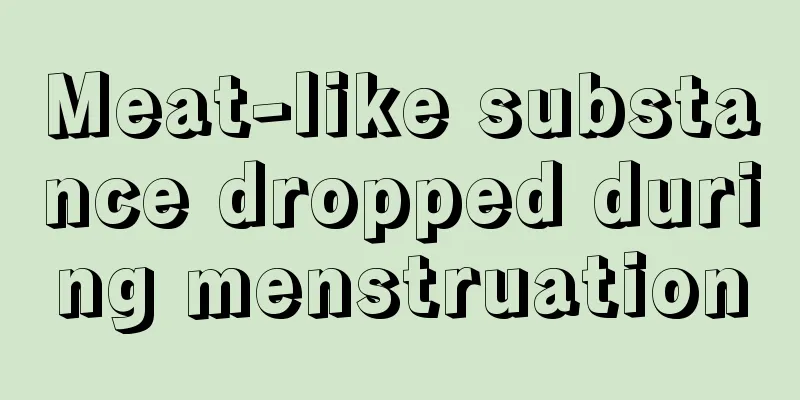 Meat-like substance dropped during menstruation