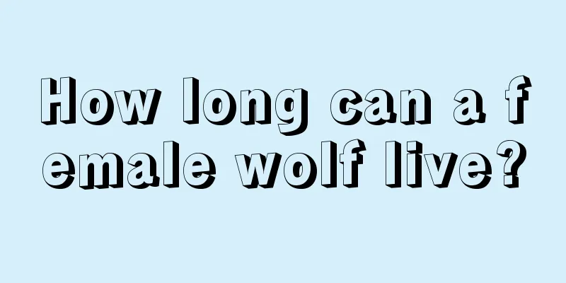 How long can a female wolf live?