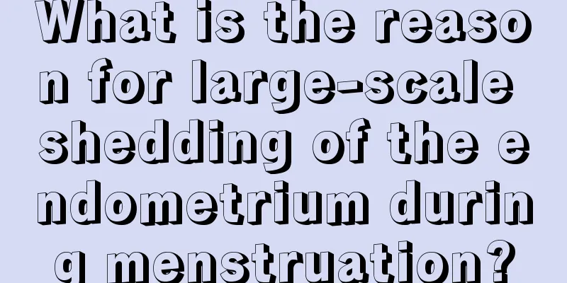 What is the reason for large-scale shedding of the endometrium during menstruation?