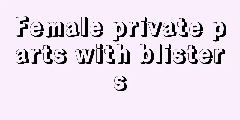 Female private parts with blisters