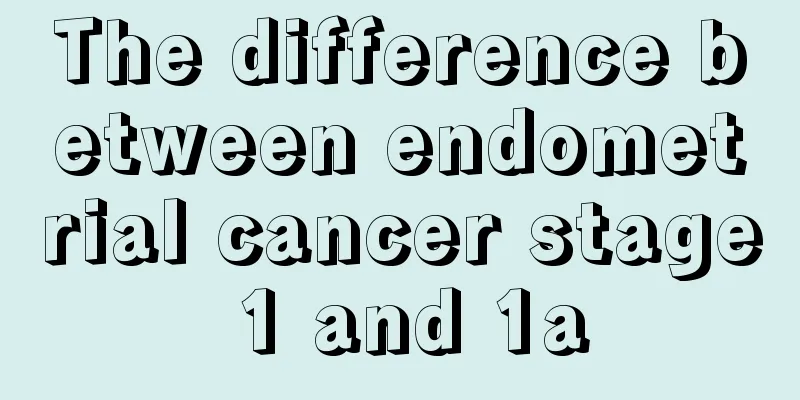 The difference between endometrial cancer stage 1 and 1a