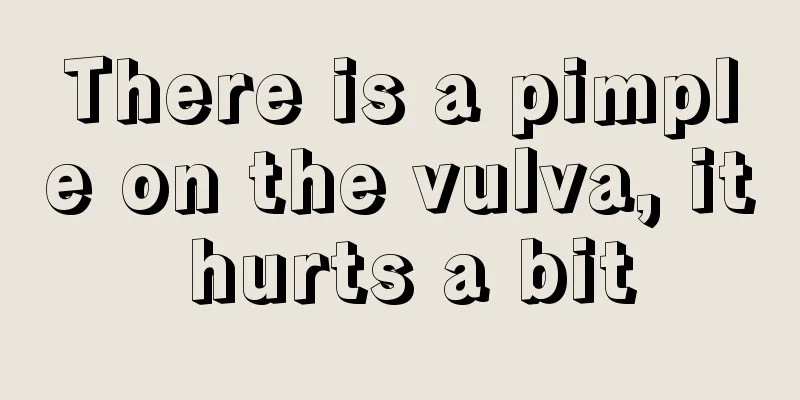 There is a pimple on the vulva, it hurts a bit