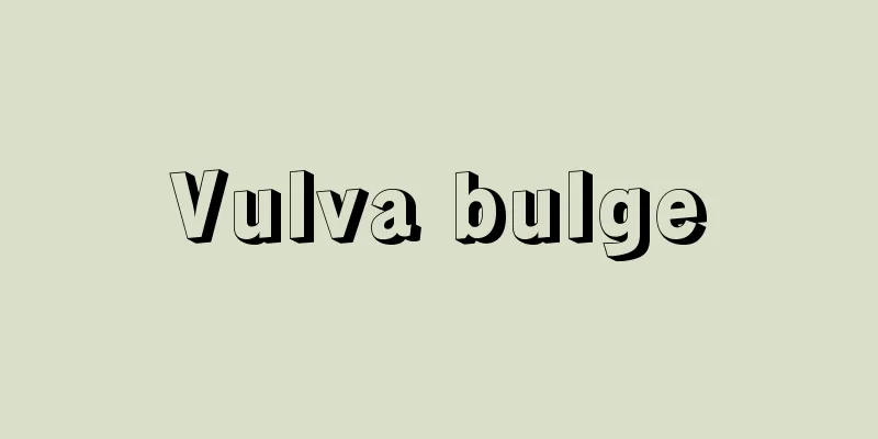 Vulva bulge